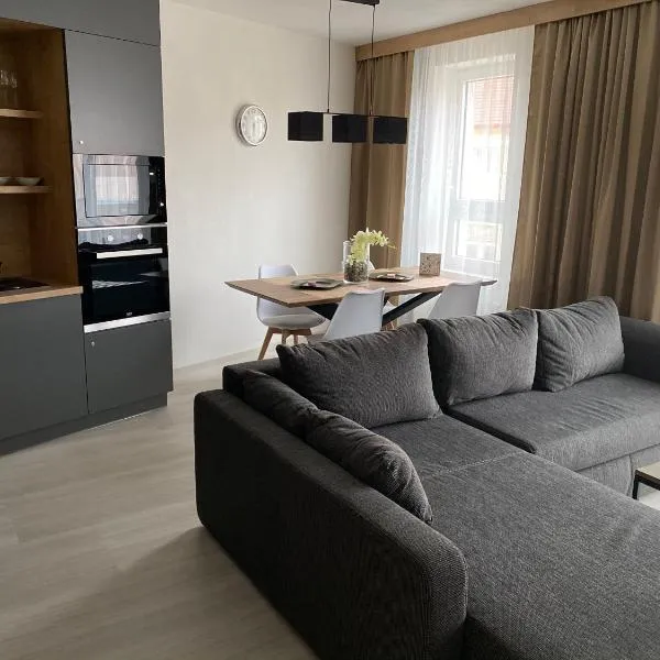 Apartmán Champion，位于比尔森的酒店