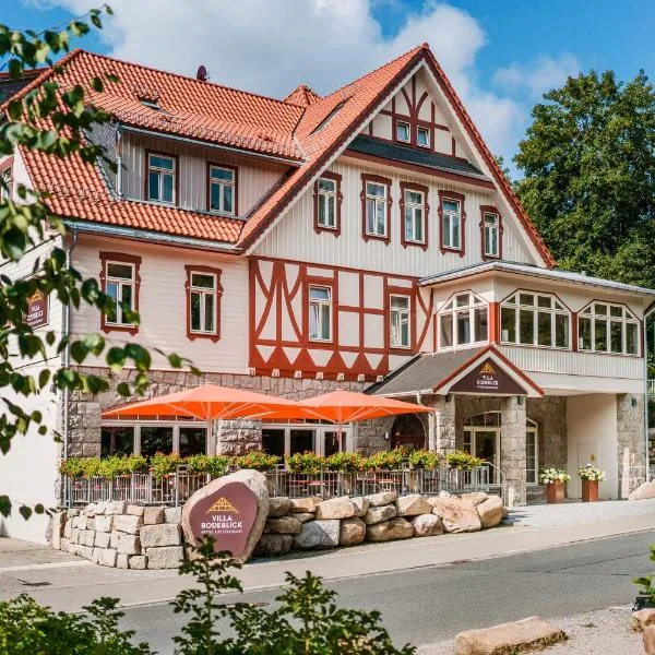 Hotel Villa Bodeblick，位于Voigtsfelde的酒店