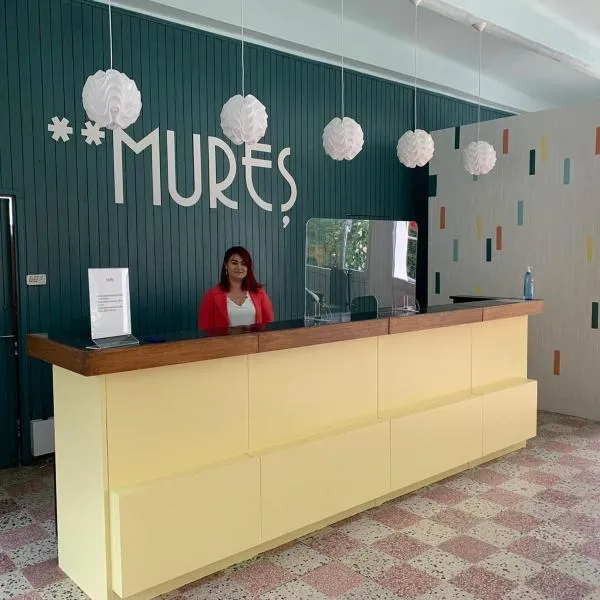 Hotel Mures，位于萨图恩的酒店