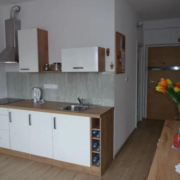 Apartman Q11，位于索科洛夫的酒店