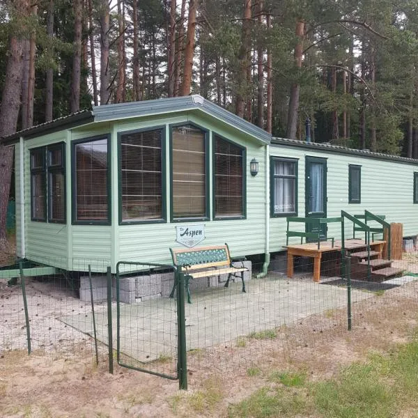 Romantic HOLIDAY HOME in the pine forest，位于Mustkalni的酒店
