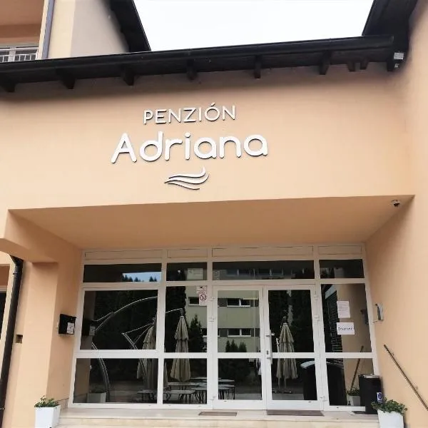 Penzion Adriana，位于瓦赫河畔新梅斯托的酒店
