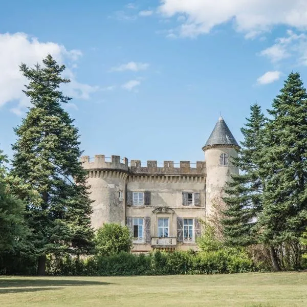 Château Emile Loubet - appartement Maréchal Foch，位于La Bégude-de-Mazenc的酒店