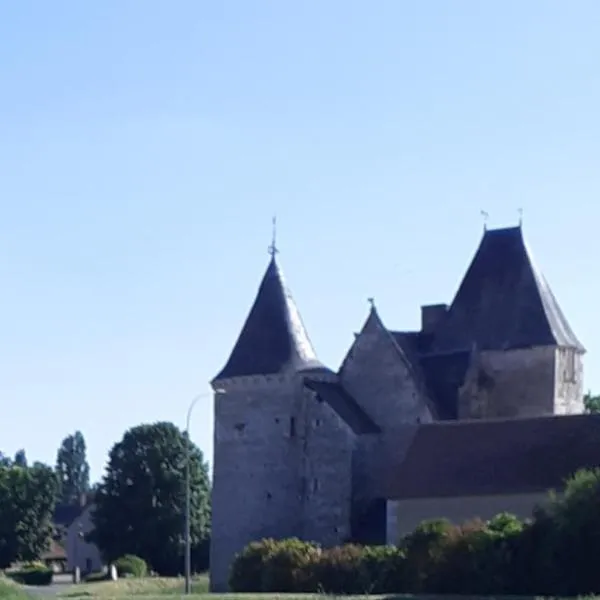 Chateau de Chémery，位于Soings-en-Sologne的酒店