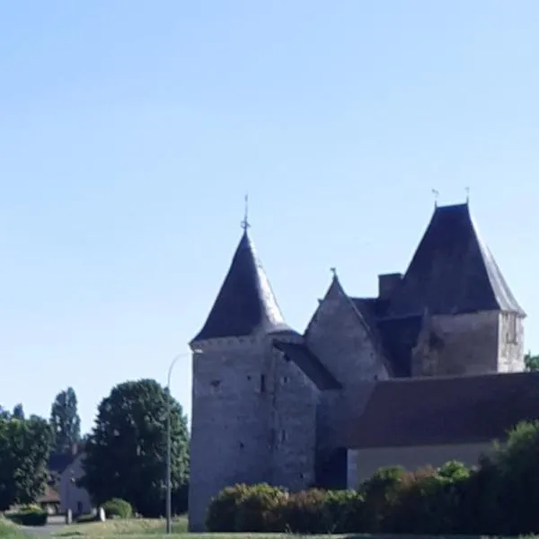 Chateau de Chémery，位于Billy的酒店