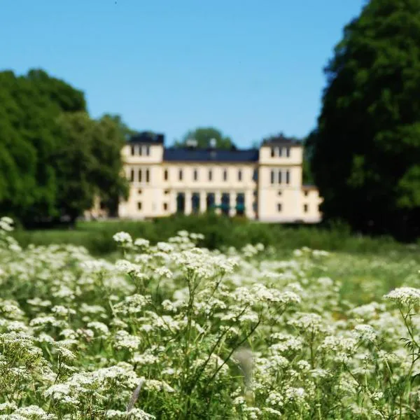 Rånäs Slott，位于Rånäs的酒店