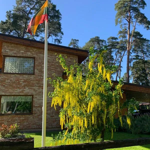 Kulautuva Rest Home，位于Padubysis的酒店