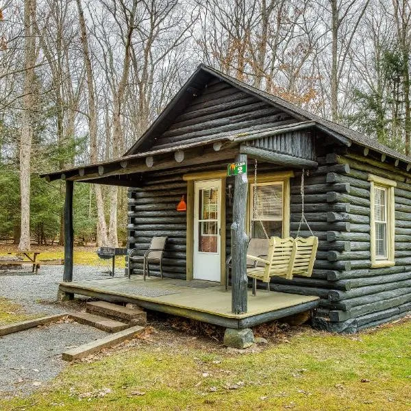 Swallow Falls Cabin #2，位于金伍德的酒店