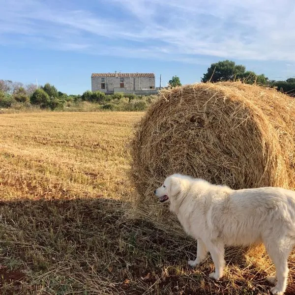 Agriturismo La Palascìa Masseria Agreste，位于奥特朗托的酒店