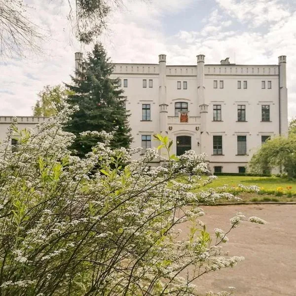 Pałac Bałoszyce，位于Parteczyny的酒店