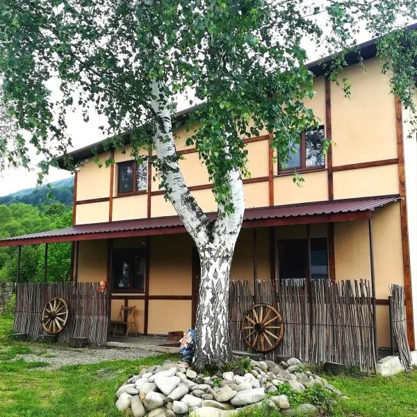 Guest House Pisnya Karpat，位于Nizhneye Sinevidnoye的酒店
