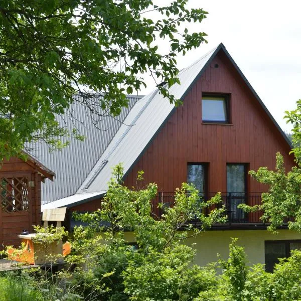 Agroturystyka Skałka，位于维斯瓦的酒店