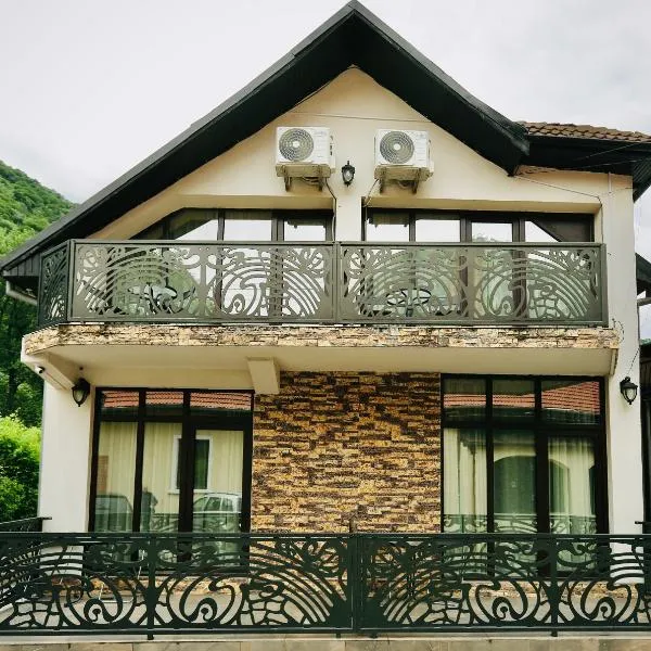 Casa Golopența，位于伯伊莱海尔库拉内的酒店