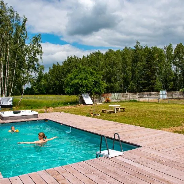 Nowa Wola 58 - 200qm appartment in a small village, with pool, sauna and big garden，位于Rusiec的酒店