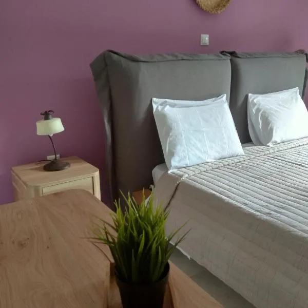 Apartments Katerina by the sea，位于萨米的酒店