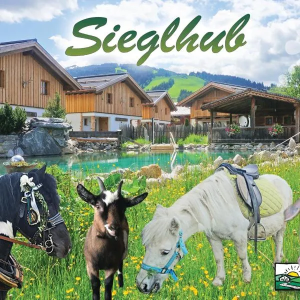 Sieglhub Chalets - Appartements - Hotel，位于弗拉绍的酒店