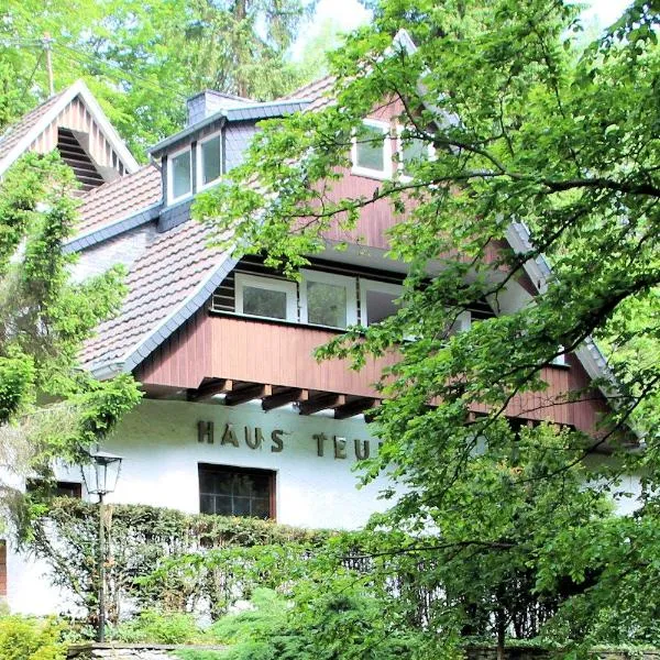 Haus Teufenbach，位于巴特洪内夫的酒店
