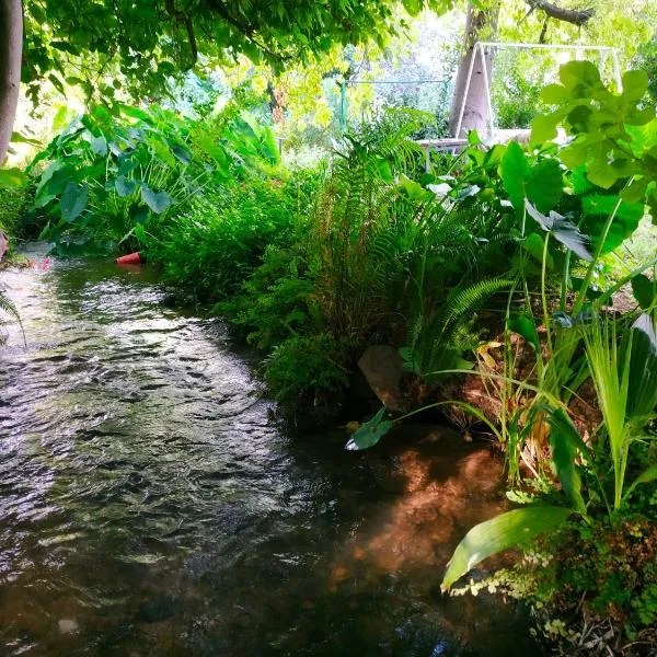 Cute Apartment hagoshrim，位于哈戈什里姆的酒店