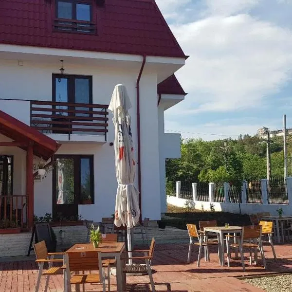 PENSIUNEA BERCA，位于Pleşcoi的酒店