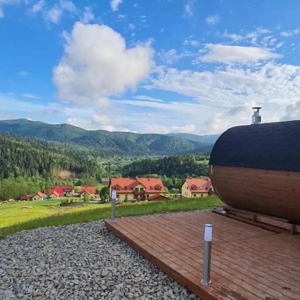 Pod Brzozka，位于齐斯纳的酒店