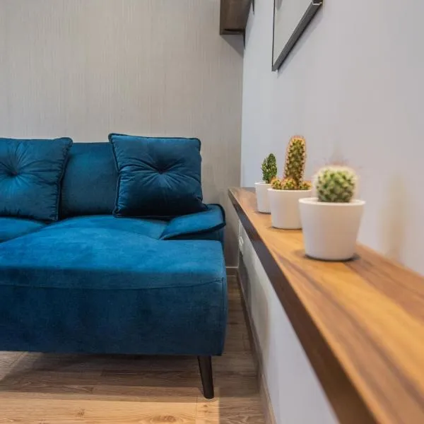 Central and Relaxing apartment，位于德鲁斯基宁凯的酒店