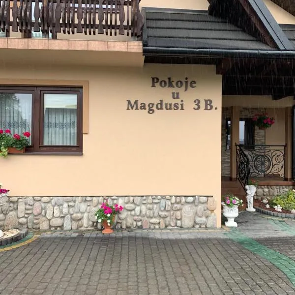 Pokoje u Magdusi przy termach，位于维托韦的酒店