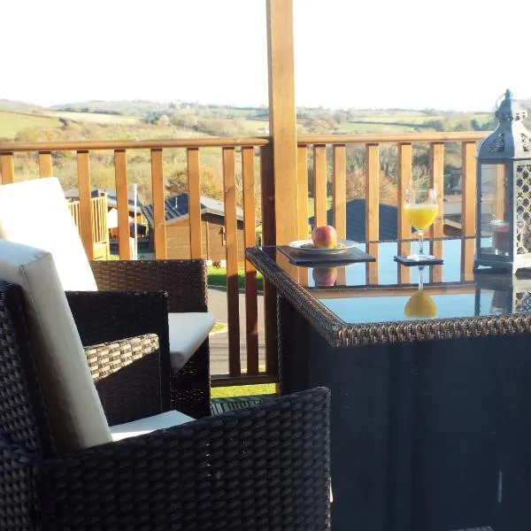 Devon Hills Holiday Park luxury timber lodge pet friendly with hot tub 2 to 6 guests，位于道利什的酒店