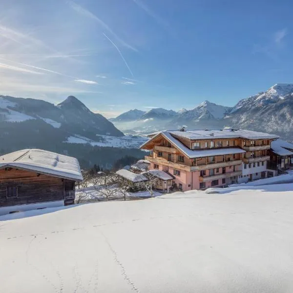 Hotel & Alpengasthof Pinzgerhof，位于Breitenbach am Inn的酒店