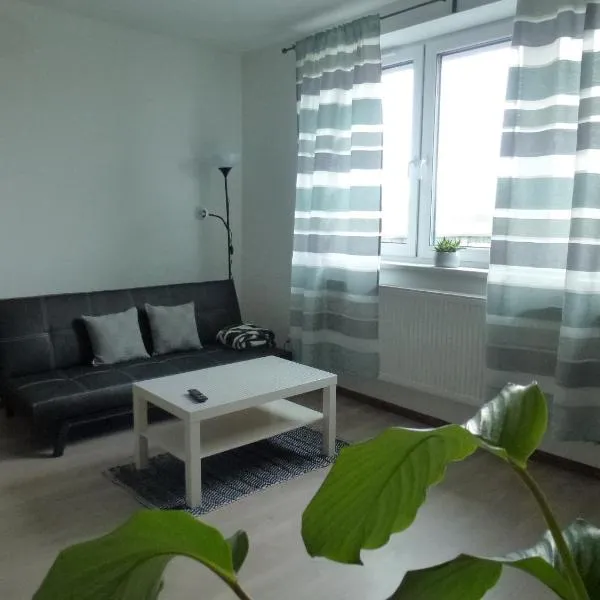 Apartmány Stdaniela，位于博胡明的酒店