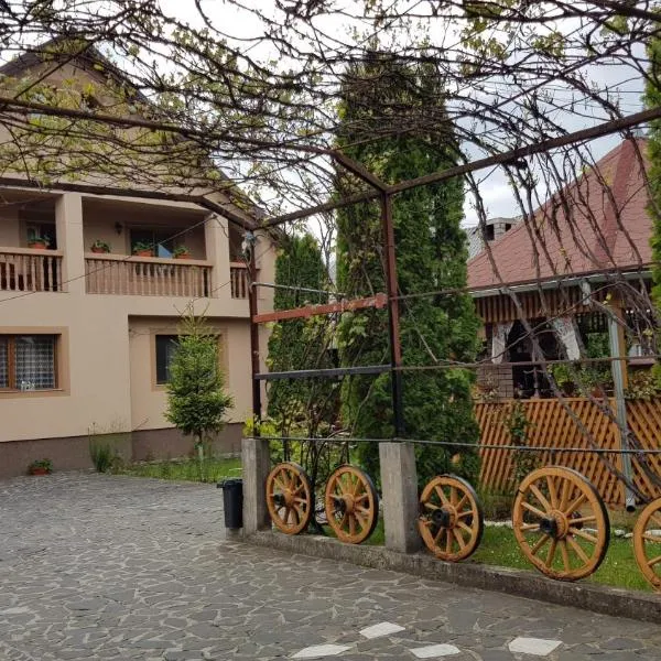 Pensiunea Todorica Sergiu，位于Bogdan Vodă的酒店