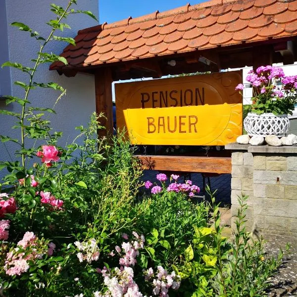 Pension Bauer，位于Untermerzbach的酒店