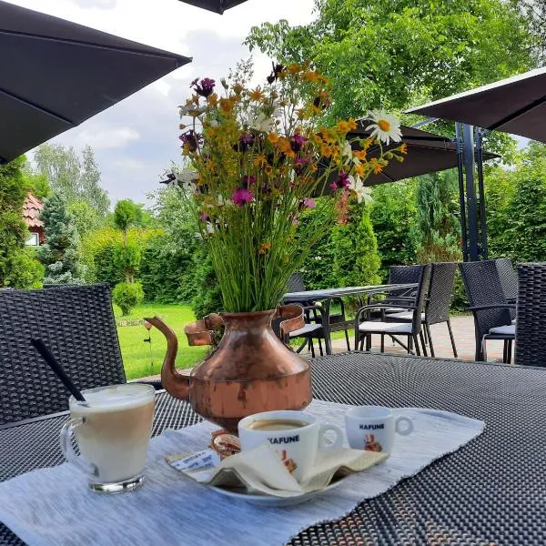 PENSIUNE RESTAURANT POIANA AVRIGULUI loc de joaca pentru copii，位于阿夫里格的酒店