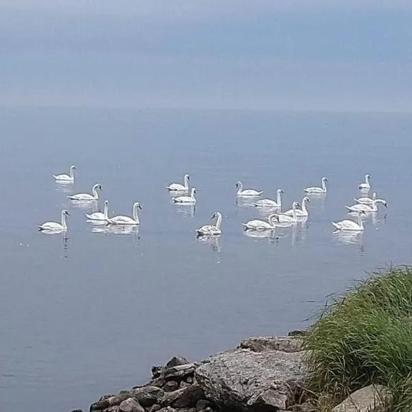 Takvåning-Borgholm，位于博里霍尔姆的酒店