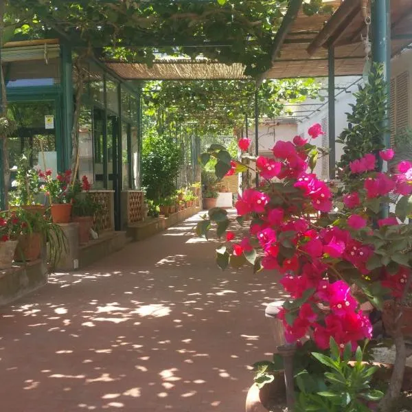 Villa dei fiori B&B，位于卡普里的酒店