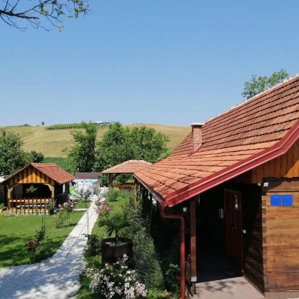 Pod orehom drvena kuća i sauna，位于克拉皮纳的酒店