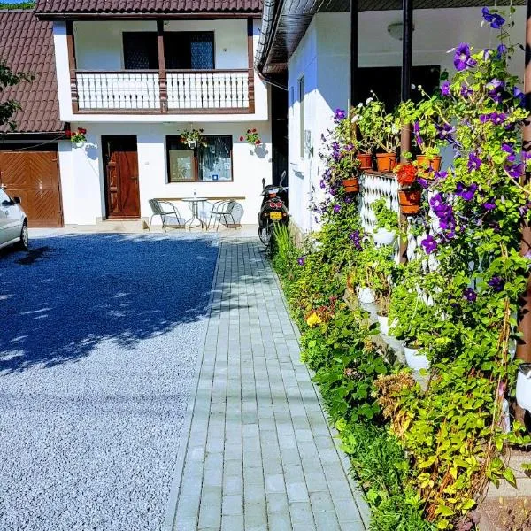 Casa Șallai，位于索瓦塔的酒店