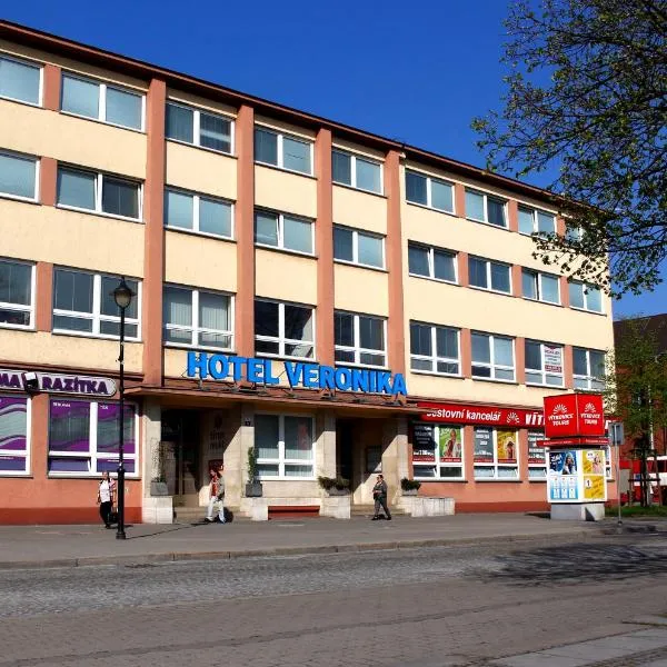 弗洛妮卡酒店，位于Krmelín的酒店