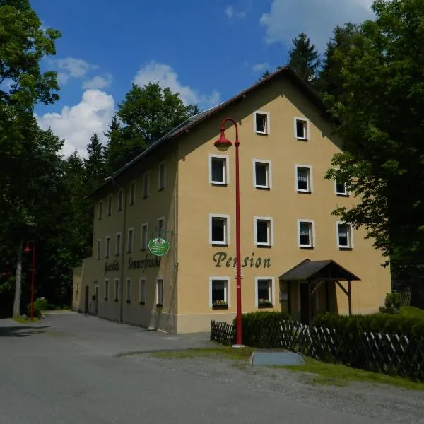 Pension Sommerfrische，位于Geyer的酒店