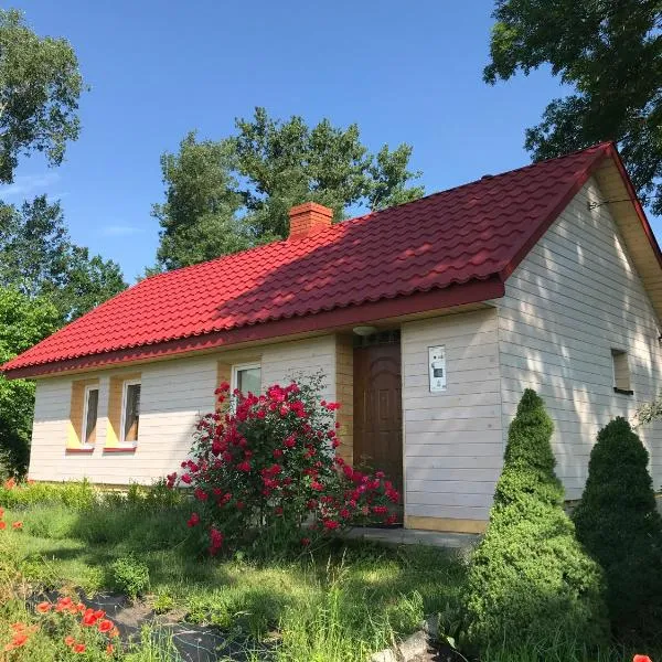 Dom na Ponidziu z basenem，位于Kazimierza Wielka的酒店