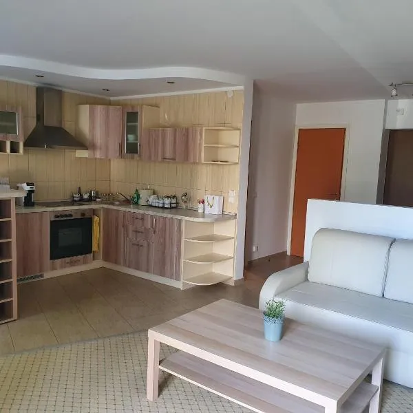 Adventure apartamentai，位于德鲁斯基宁凯的酒店