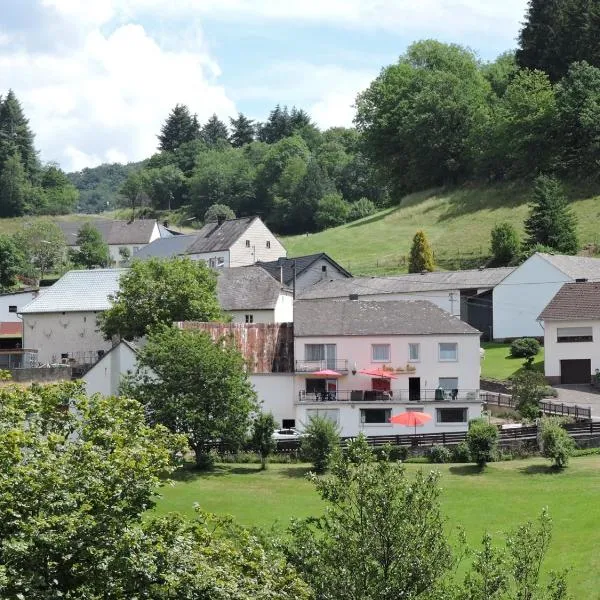 Sabine’s Gästehaus，位于Körperich的酒店