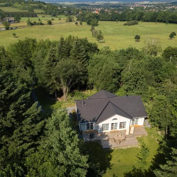 Ferienhaus Chalet Goldberg，位于巴特哈尔茨堡的酒店