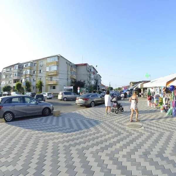 APARTAMENT RAZVAN HOLIDAY COSTINESTI，位于科斯蒂内什蒂的酒店