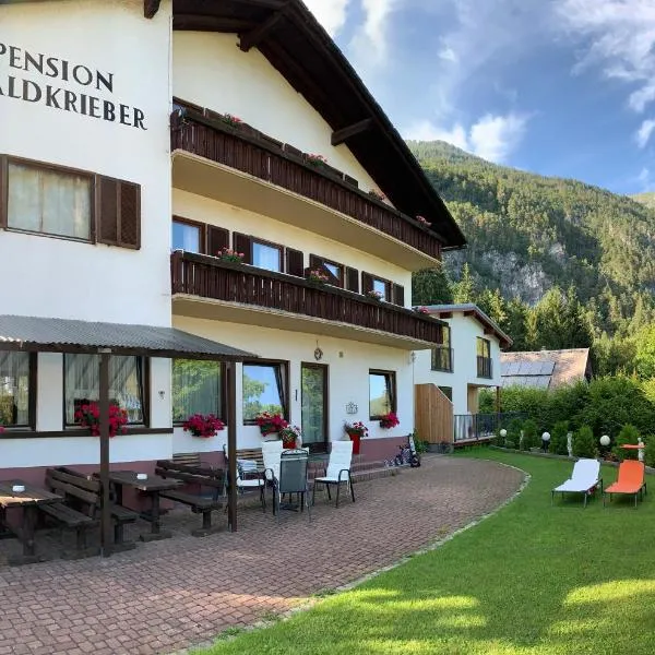 Pension & Apartments Waldkrieber，位于魏斯布里阿赫的酒店