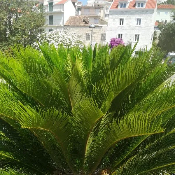 Apartmani kike，位于马卡尔斯卡的酒店