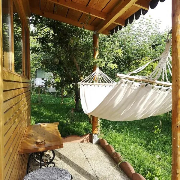 Relax Eaza - Casa cu Hamac，位于康斯坦察的酒店