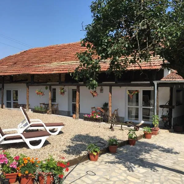 Sunflower Guest House Bulgaria，位于Polski Trŭmbesh的酒店