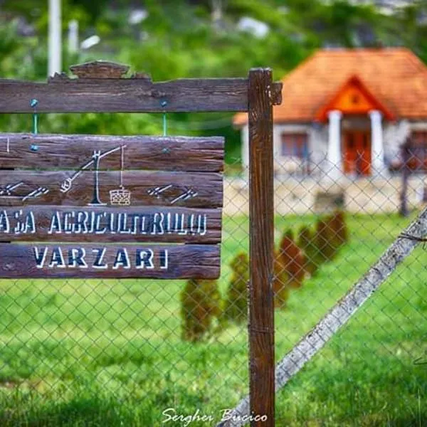 Casa Agricultorului Varzari，位于奥尔海伊的酒店