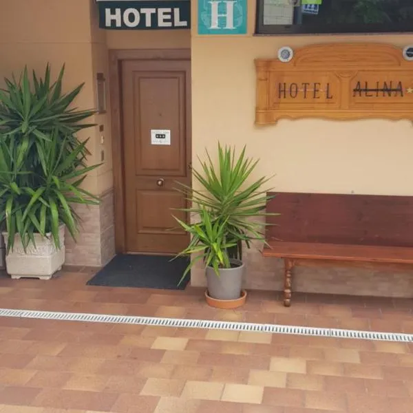 Hotel Alina，位于坎加斯德尔纳尔塞亚的酒店