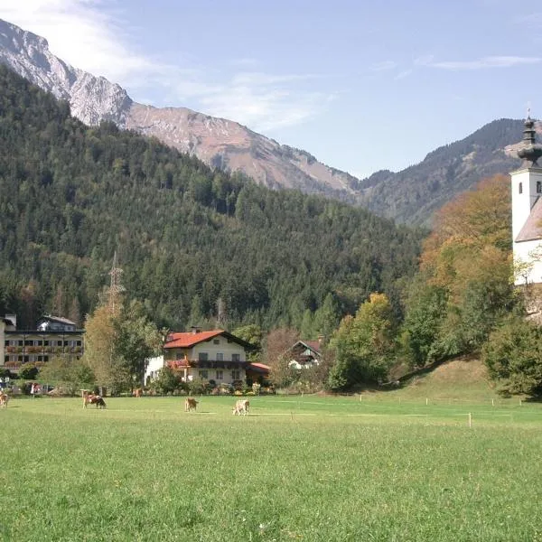 Campingplatz Torrenerhof，位于萨尔察赫河畔戈灵的酒店